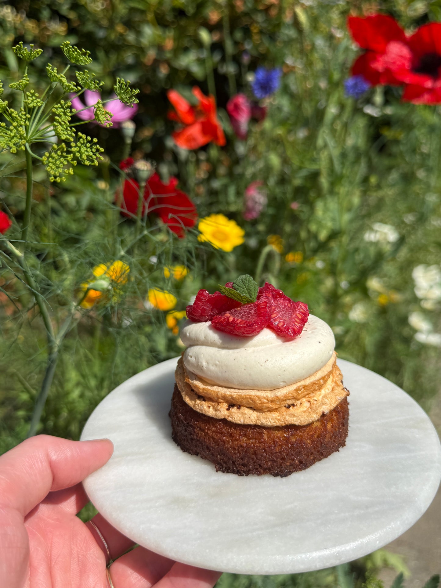 Fløde-fredag d. 3/7-26: Amerikansk lagkage 🍰